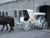 forthenry11